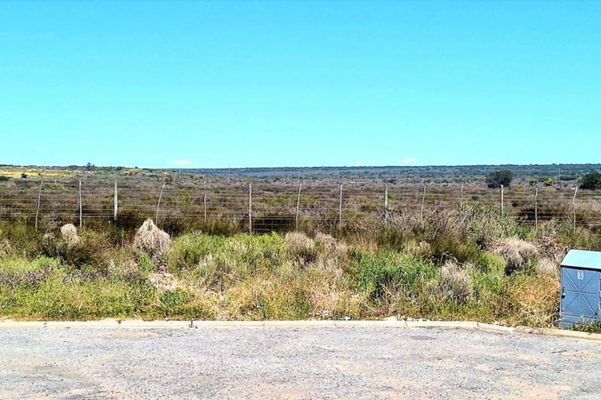 Beautiful Plot For Sale in Hopefield - Photo 3