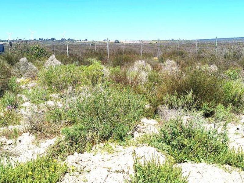 Beautiful Plot For Sale in Hopefield - Photo 2