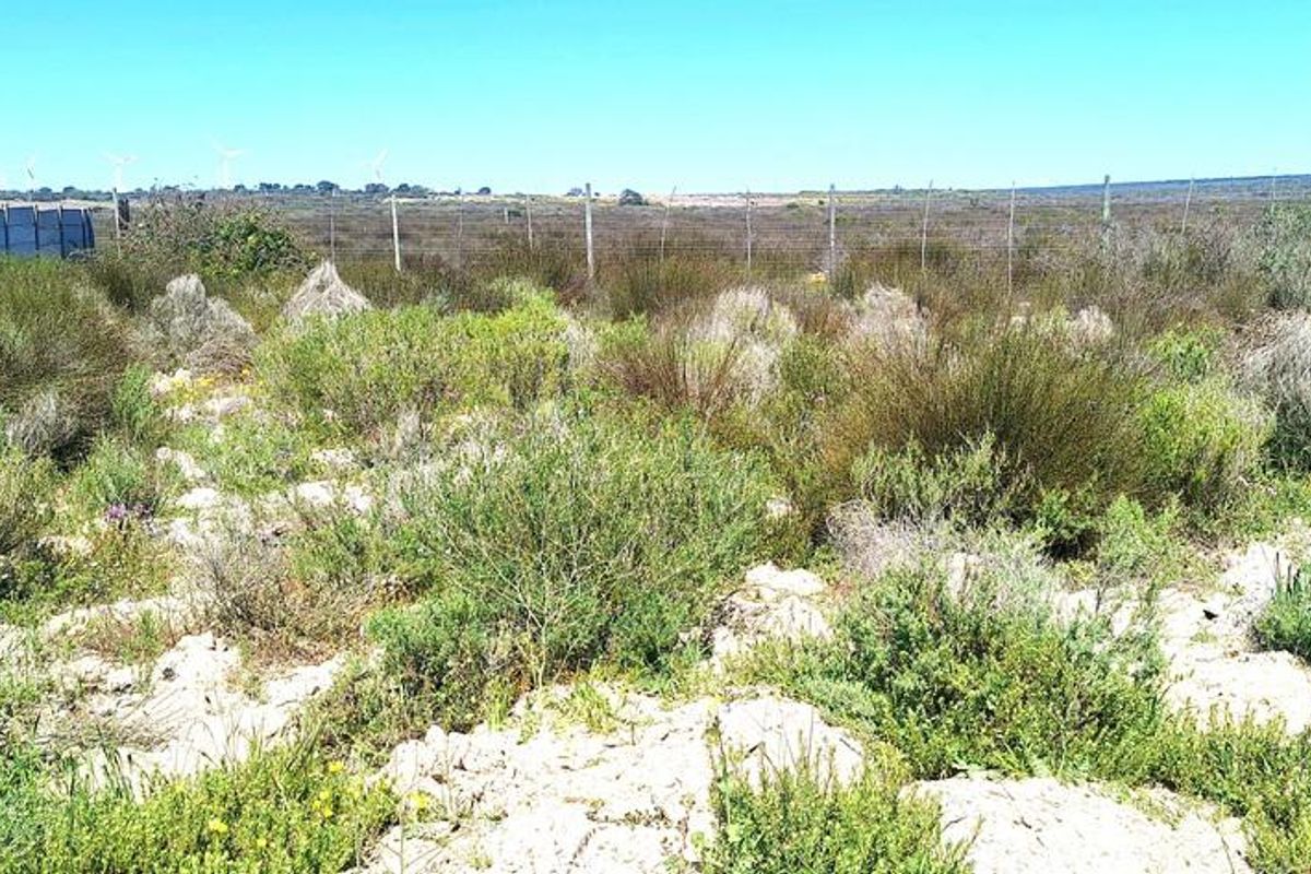 Beautiful Plot For Sale in Hopefield - Photo 2