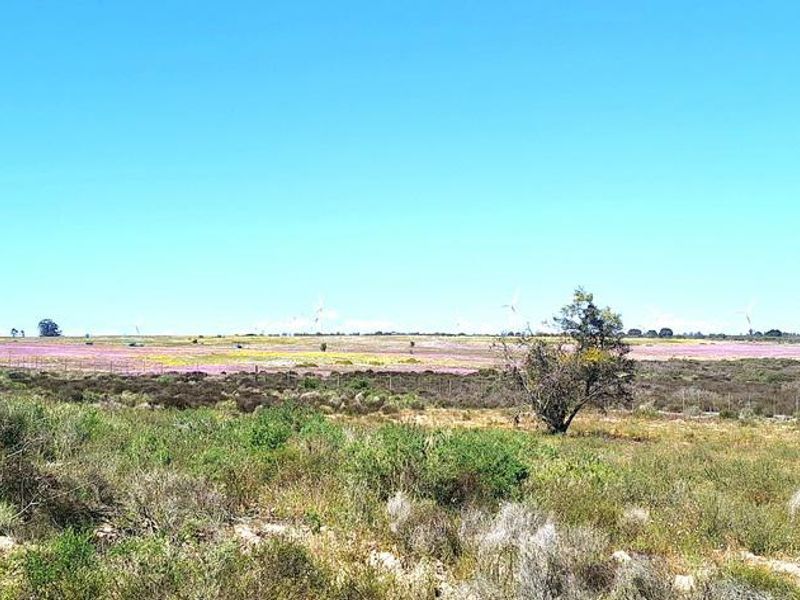 Beautiful Plot For Sale in Hopefield - Photo 10