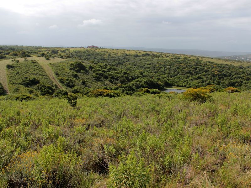 Valley view plot - Photo 3