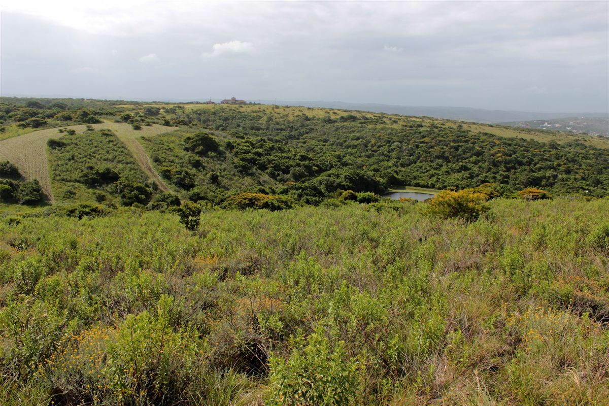 Valley view plot - Photo 3