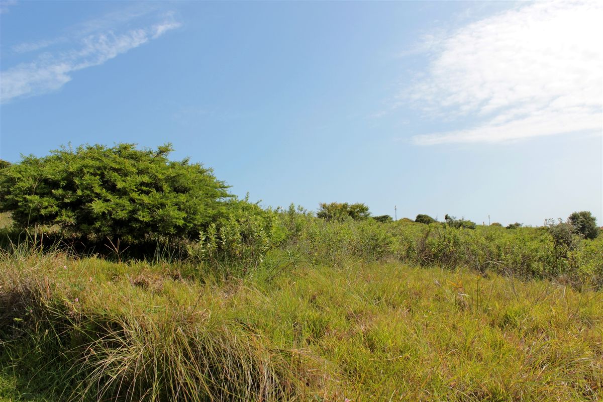 Valley view plot - Photo 5