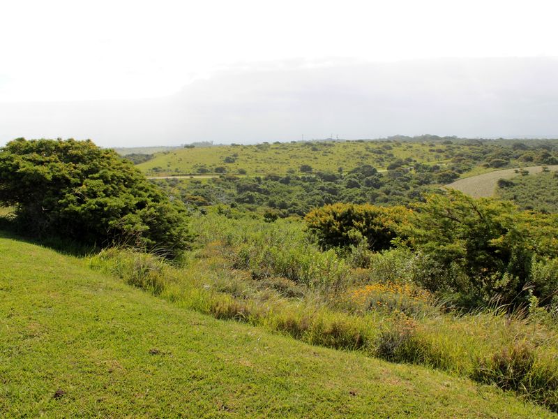 Valley view plot - Photo 4
