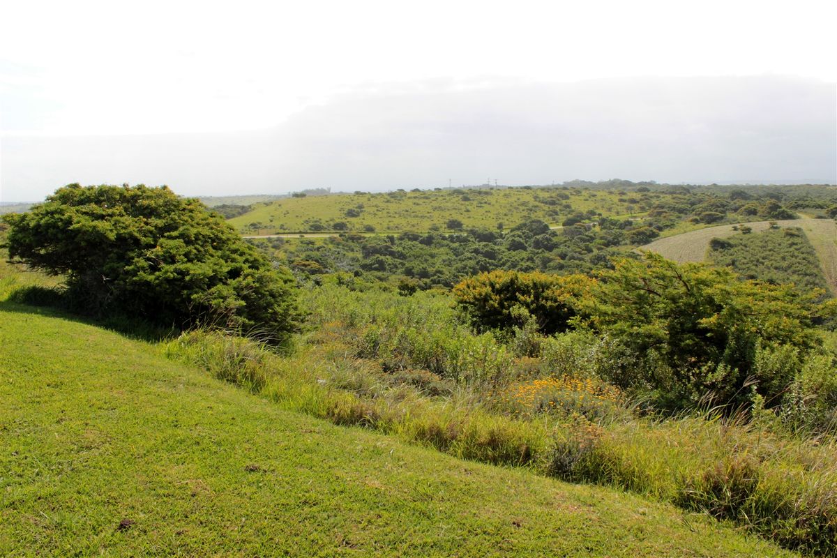 Valley view plot - Photo 4