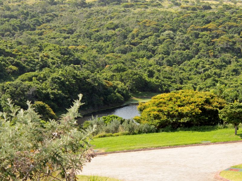 Valley view plot - Photo 6