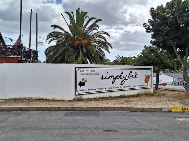 Vacant land for sale in Hopefield - Photo 9