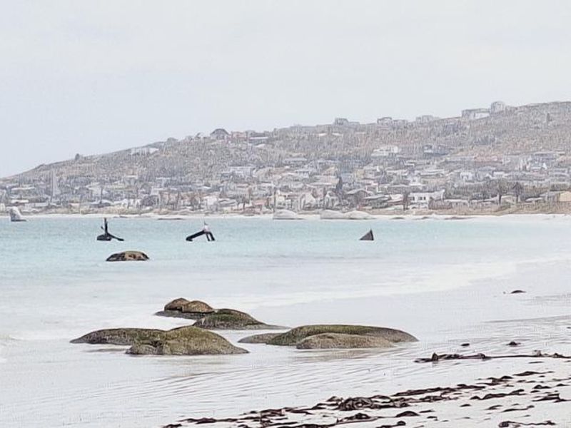 Charming Coastal Living  Plot in Saldanha - Photo 7