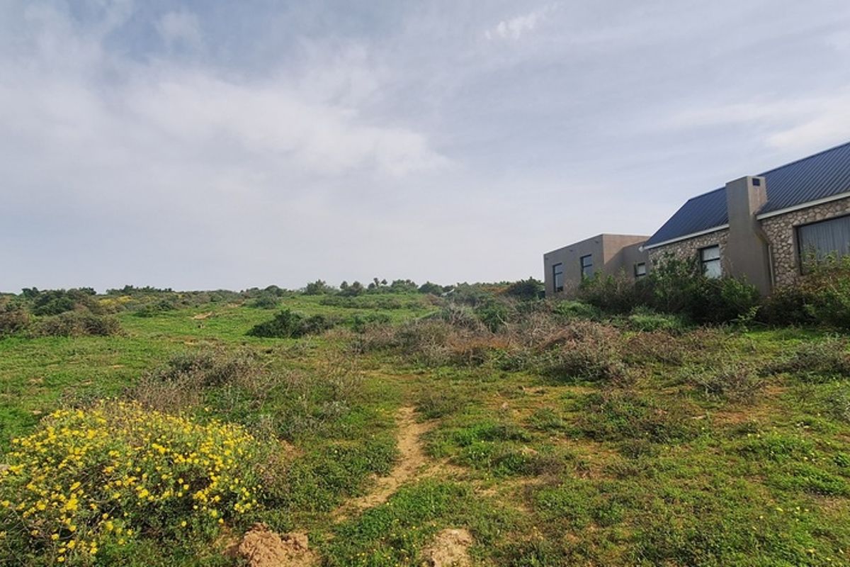 A view of the rear elevation of a modern stone-clad residence situated on a large, natural vacant land plot.