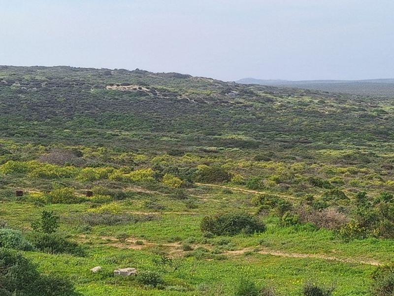 A scenic view of the expansive natural landscape featuring rolling hills and native vegetation, showcasing the property's tranquil and undeveloped surroundings.