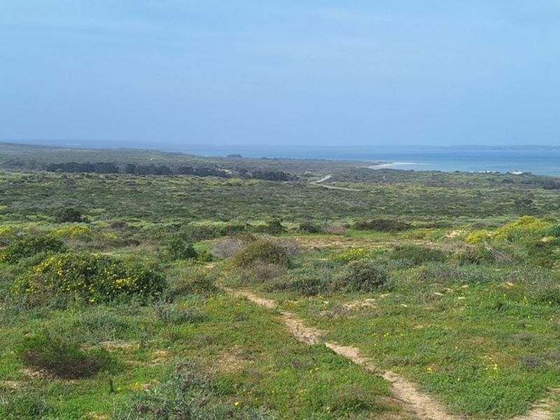 A scenic view of the expansive coastal landscape and natural vegetation, showcasing the property's tranquil surroundings and proximity to the ocean.