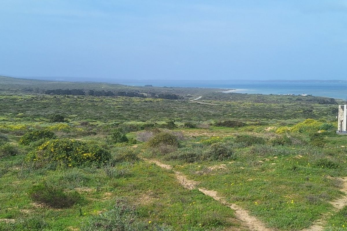 A scenic view of the expansive coastal landscape and natural vegetation, showcasing the property's tranquil surroundings and proximity to the ocean.