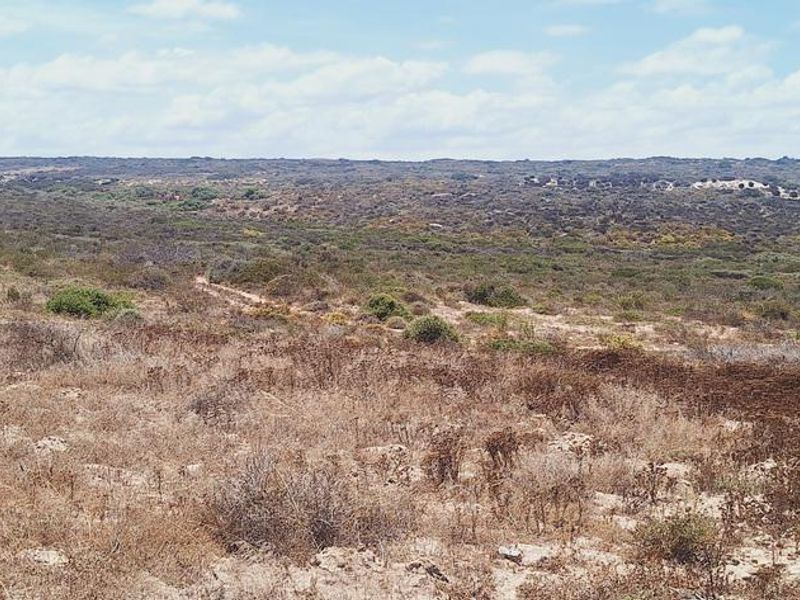 A wide-angle view of the natural landscape and coastal vegetation surrounding the property.