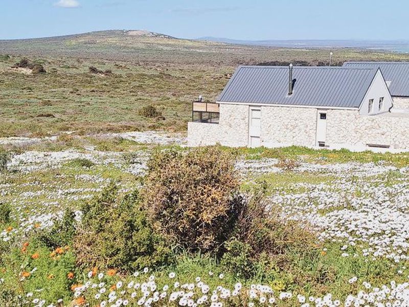 A scenic view of a modern stone-clad residence with a metal roof, set within a natural landscape of wildflowers and coastal vegetation.