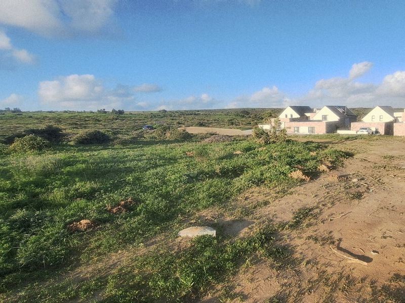 A wide-angle view of an undeveloped residential plot featuring natural vegetation and surrounding neighborhood context.