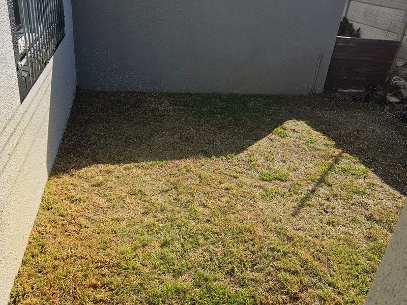 A small, private rear garden area featuring a boundary wall, security bars on the window, and a fixed clothesline.