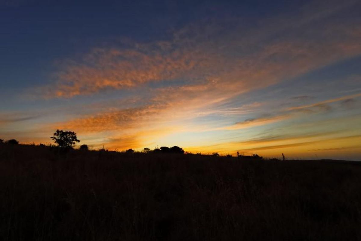 Full title Guesthouse stand on Game Farm!! - Photo 5