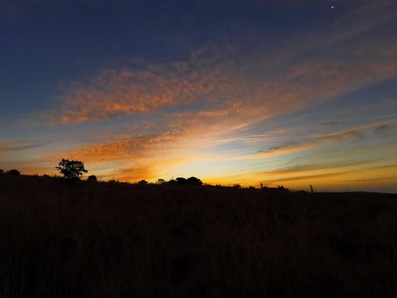 Full title Guesthouse stand on Game Farm!! - Photo 5