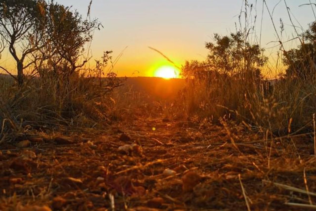 Full title Guesthouse stand on Game Farm!! - Photo 3