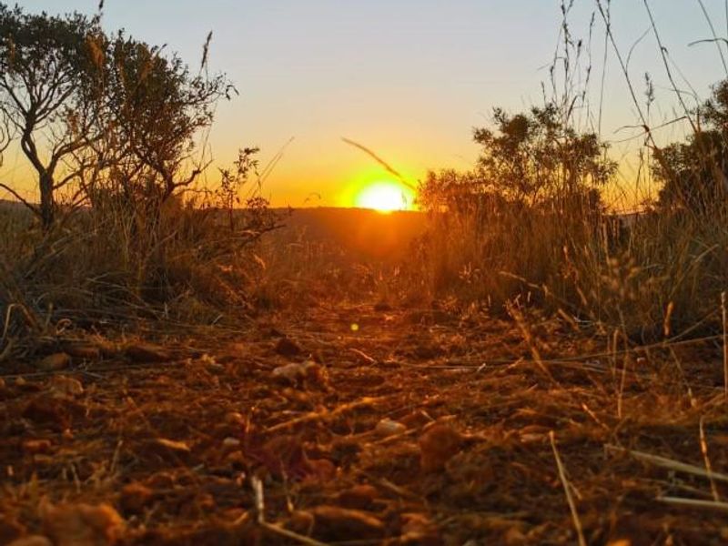 Full title Guesthouse stand on Game Farm!! - Photo 3