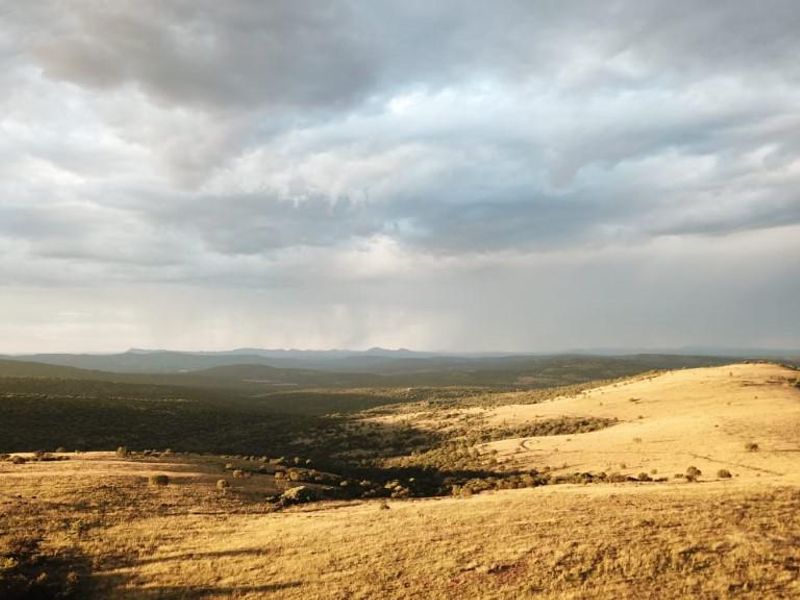 Full title Guesthouse stand on Game Farm!! - Photo 8