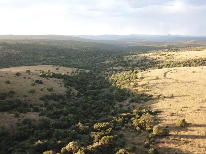 Full title Guesthouse stand on Game Farm!! - Photo 6