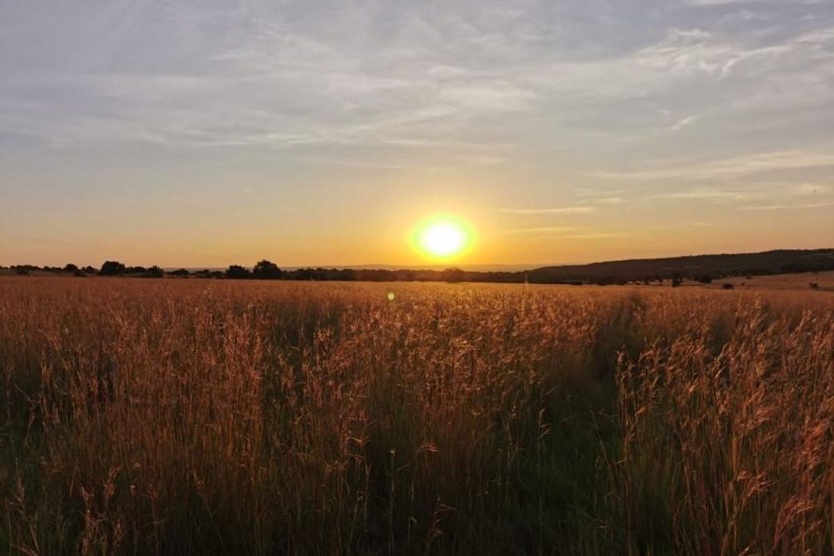 Full title Guesthouse stand on Game Farm!! - Photo 2