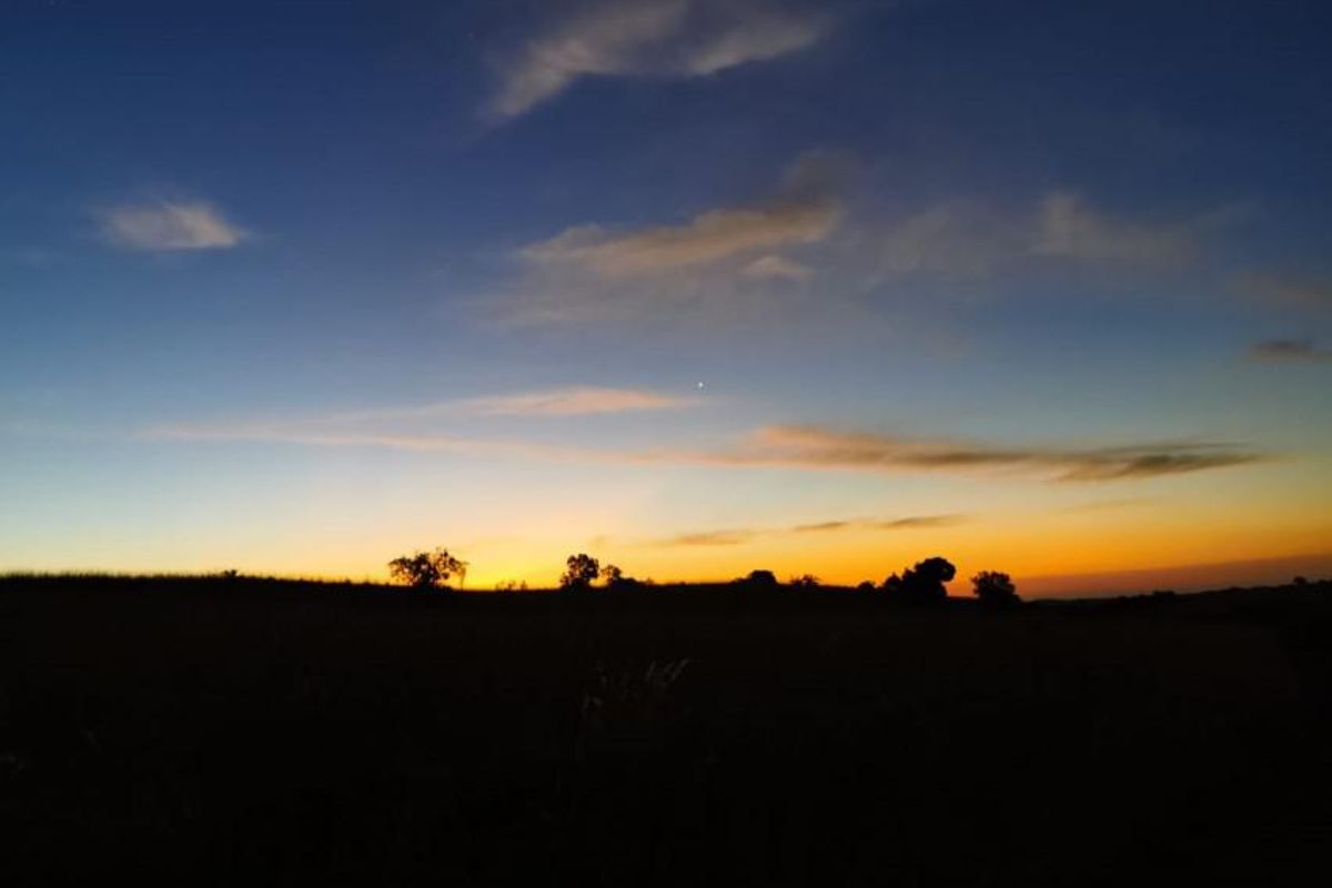 Full title Guesthouse stand on Game Farm!! - Photo 4