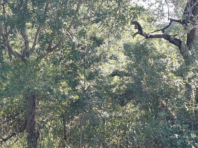 FOR SALE: 2 CONSOLIDATED STANDS - Photo 2