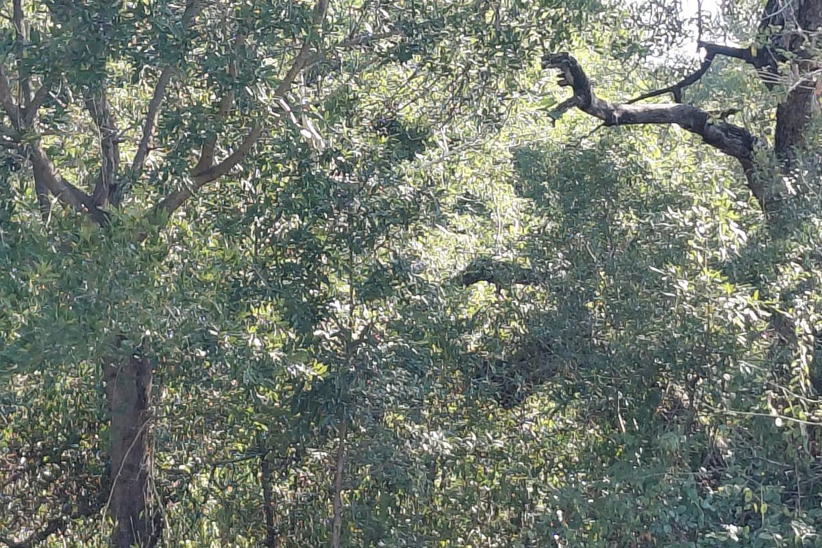 FOR SALE: 2 CONSOLIDATED STANDS - Photo 2