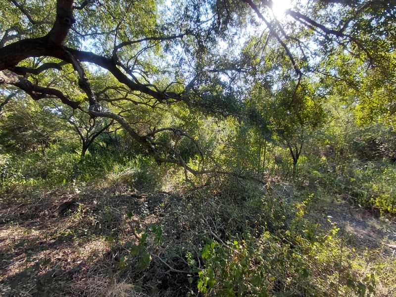 FOR SALE: 2 CONSOLIDATED STANDS - Photo 4