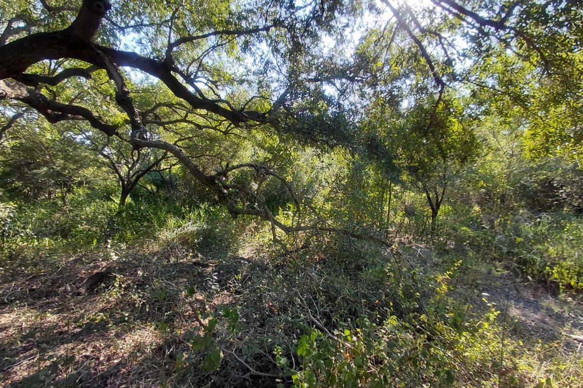 FOR SALE: 2 CONSOLIDATED STANDS - Photo 4