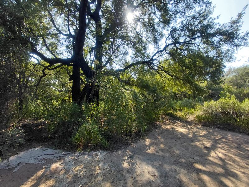 FOR SALE: 2 CONSOLIDATED STANDS - Photo 3