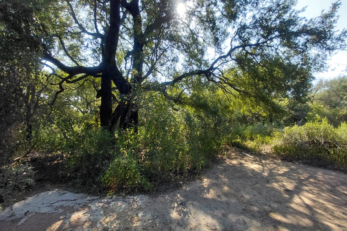 FOR SALE: 2 CONSOLIDATED STANDS - Photo 3