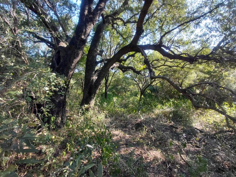 FOR SALE: 2 CONSOLIDATED STANDS - Photo 5