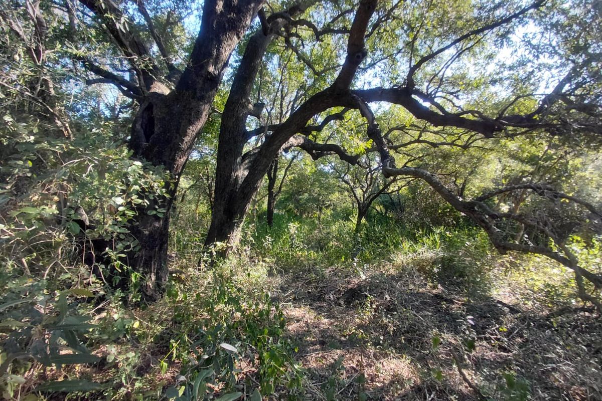 FOR SALE: 2 CONSOLIDATED STANDS - Photo 5