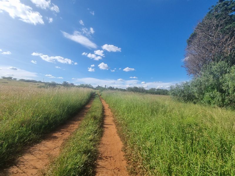 Five Hectare Small Holding for Sale - Photo 10