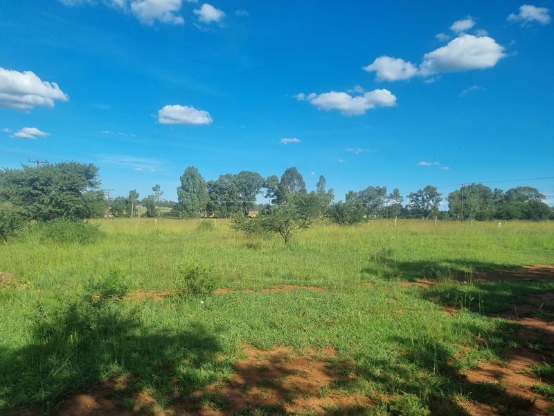 Five Hectare Small Holding for Sale - Photo 4