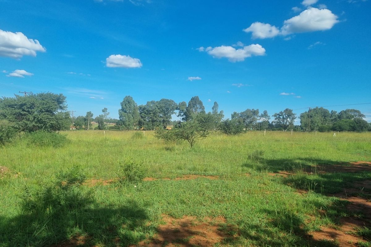 Five Hectare Small Holding for Sale - Photo 4