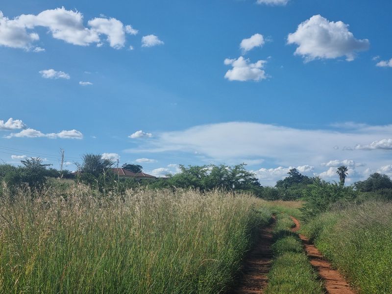 Five Hectare Small Holding for Sale - Photo 9