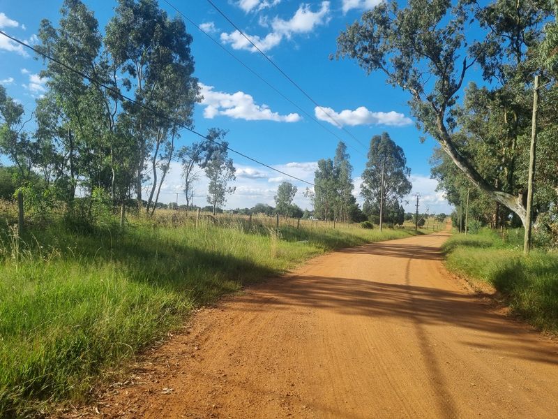 Five Hectare Small Holding for Sale - Photo 7