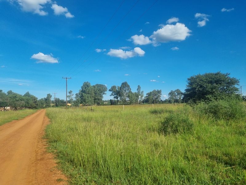 Five Hectare Small Holding for Sale - Photo 6