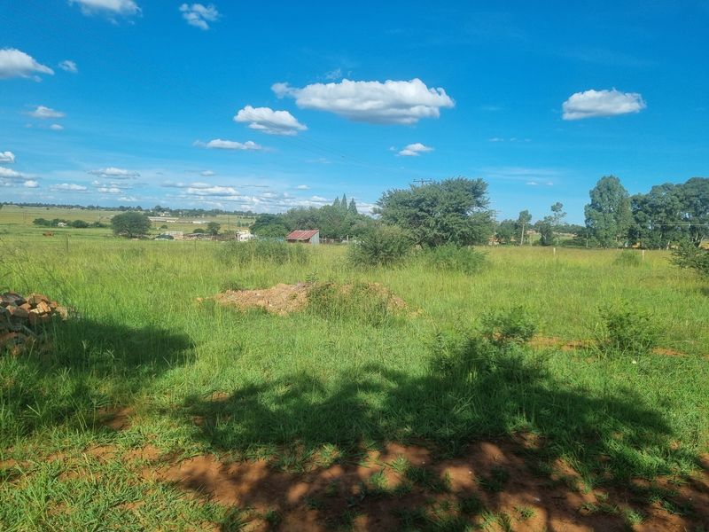 Five Hectare Small Holding for Sale - Photo 5