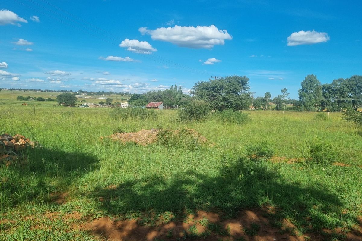 Five Hectare Small Holding for Sale - Photo 5