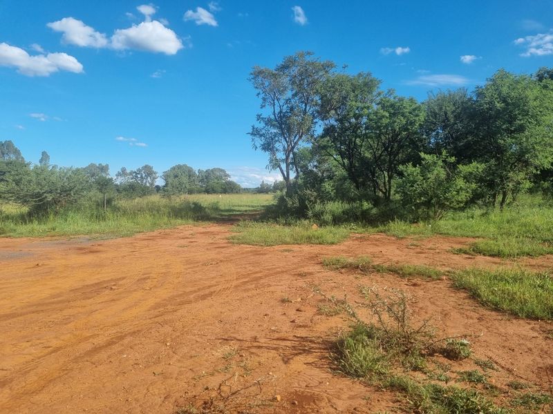 Five Hectare Small Holding for Sale - Photo 3