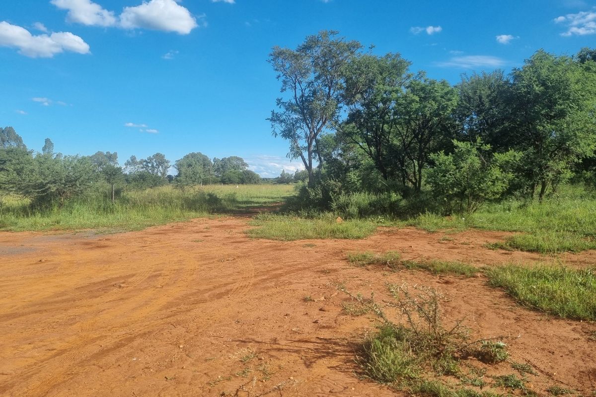 Five Hectare Small Holding for Sale - Photo 3