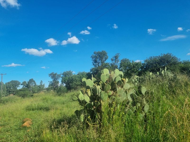 Five Hectare Small Holding for Sale - Photo 2