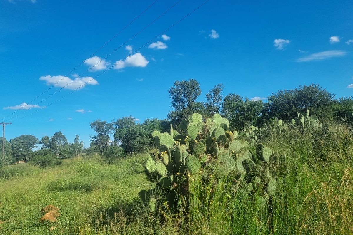 Five Hectare Small Holding for Sale - Photo 2