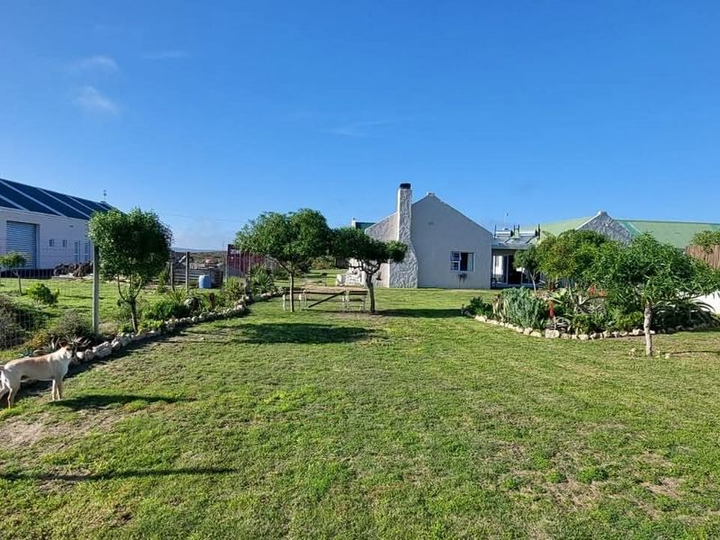 Farmhouse for Sale in Long Acres, Langebaan - Photo 9