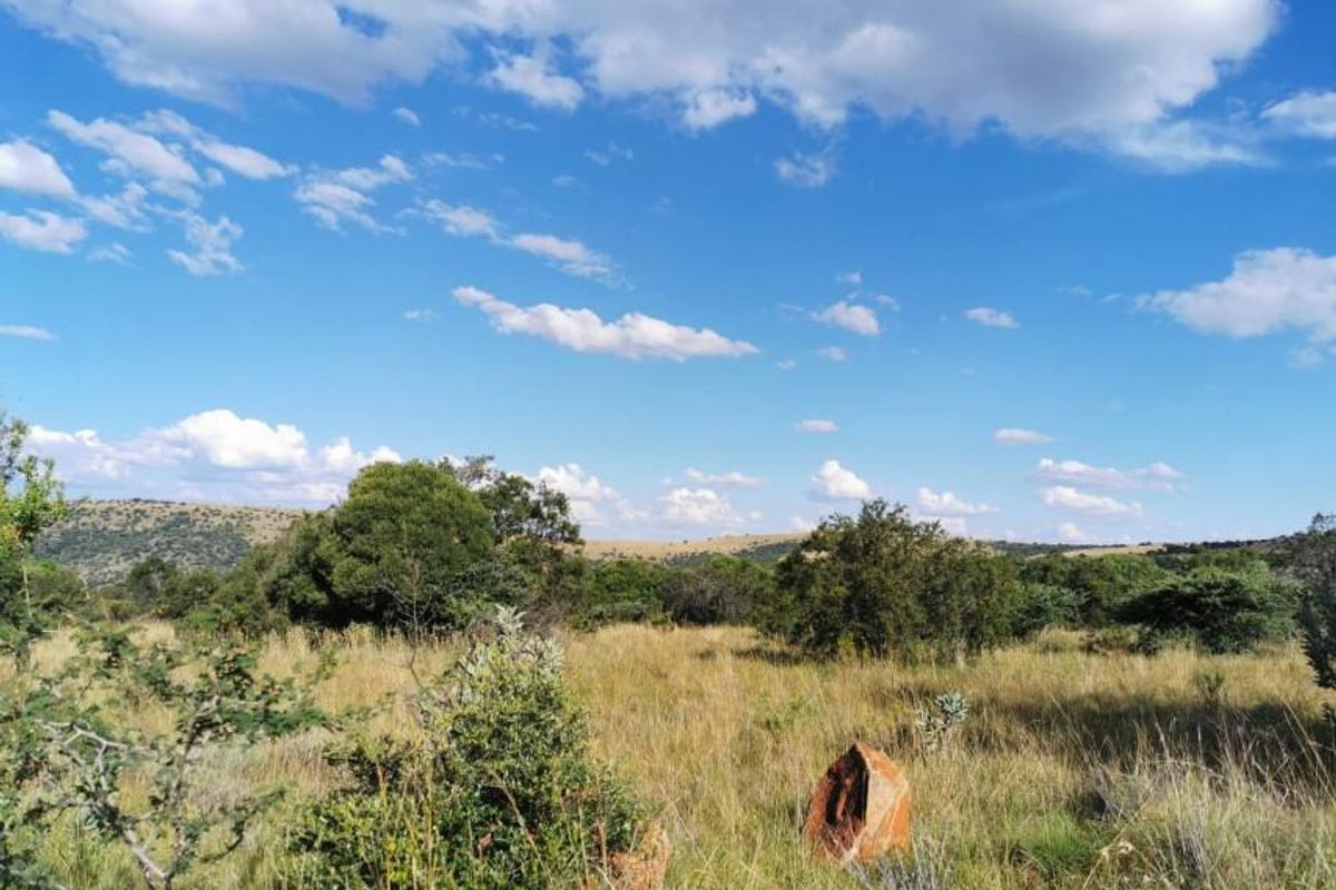 Exceptional scenery full title serviced stands on Game Farm!! - Photo 3